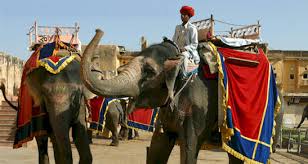 golden triangle tour india