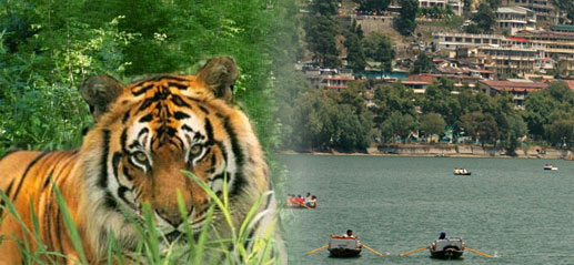 Uttrakhand Tour Packages